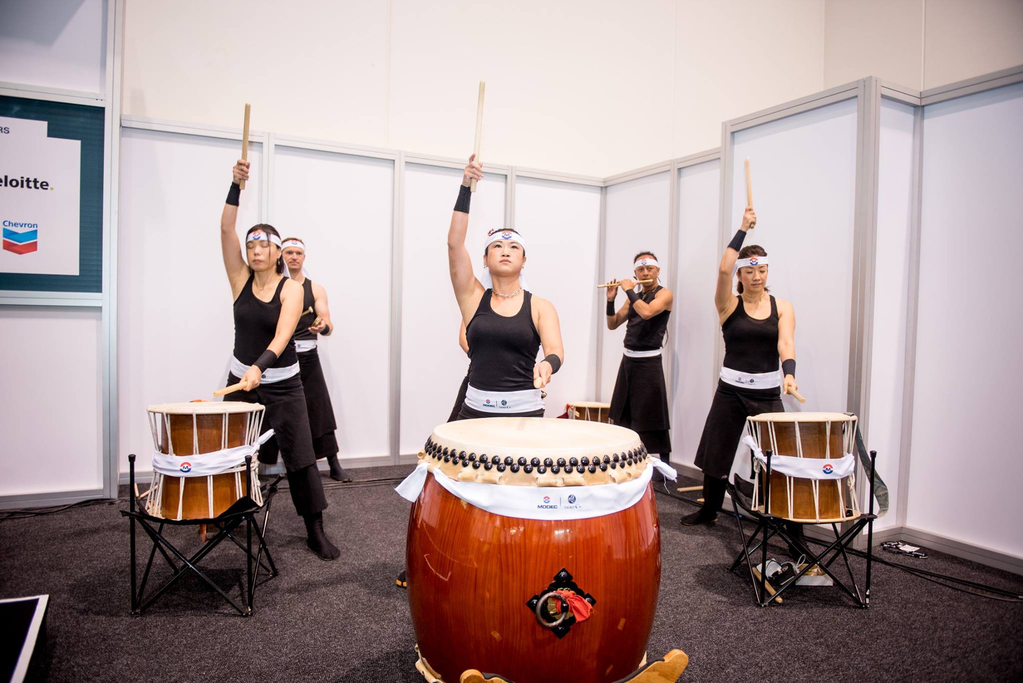 Details About Taiko Drums